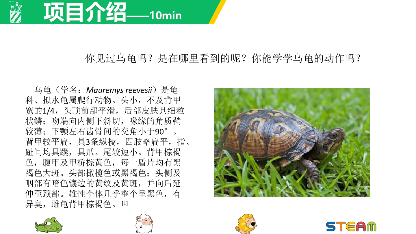 乌龟-1课件.pdf