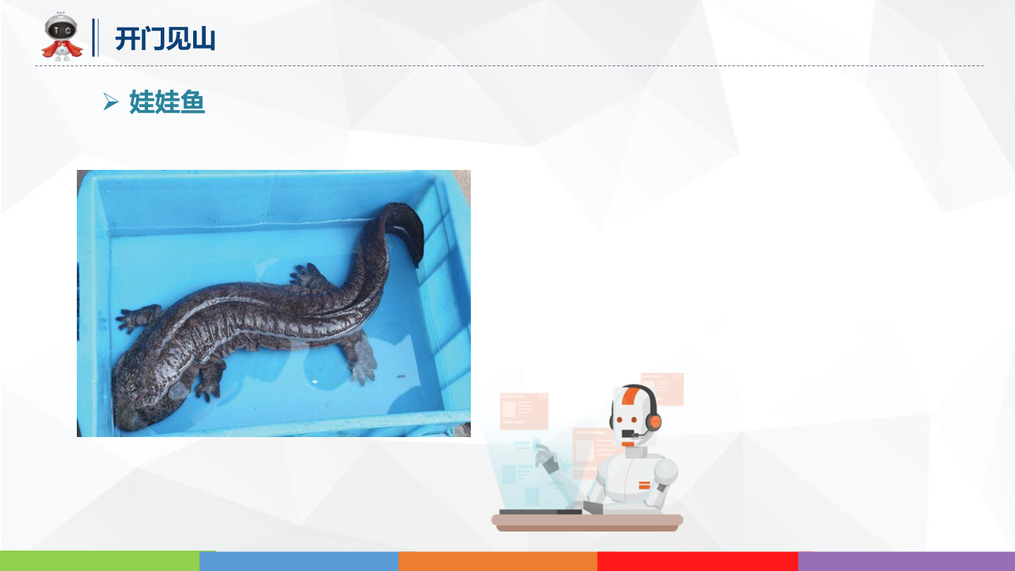 动物世界_04_国宝大鱼_课件.pdf