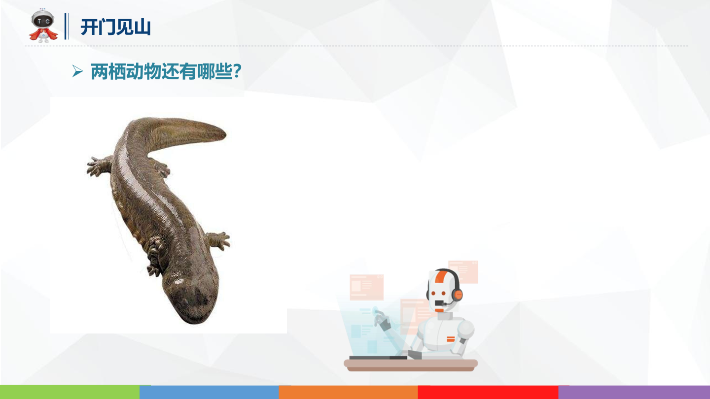 动物世界_04_国宝大鱼_课件.pdf