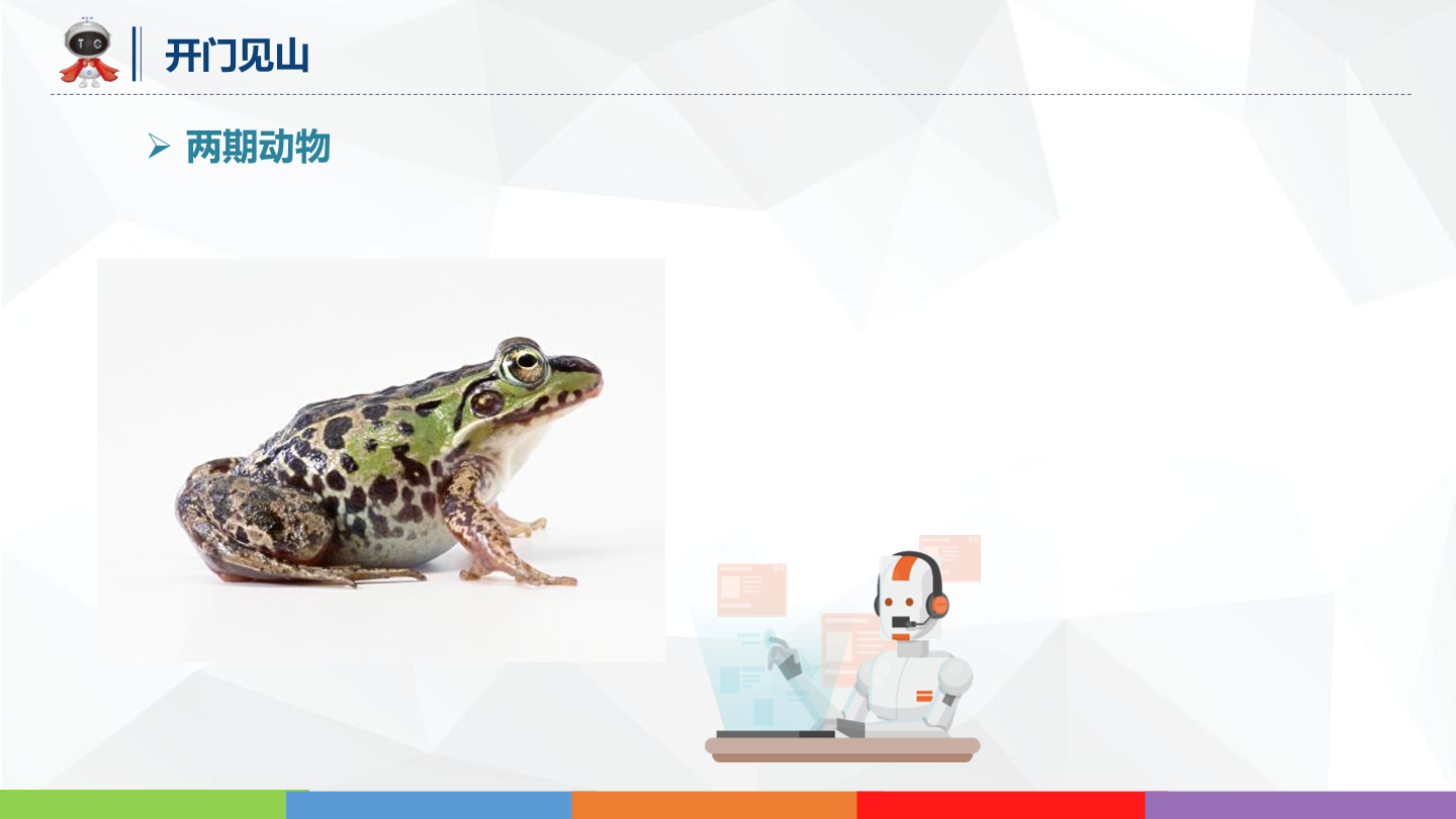 动物世界_03_游泳健将_课件.pdf