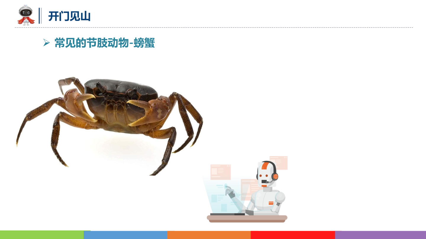 动物世界_09_横行霸道_课件.pdf