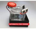 简易自动喂鱼器
