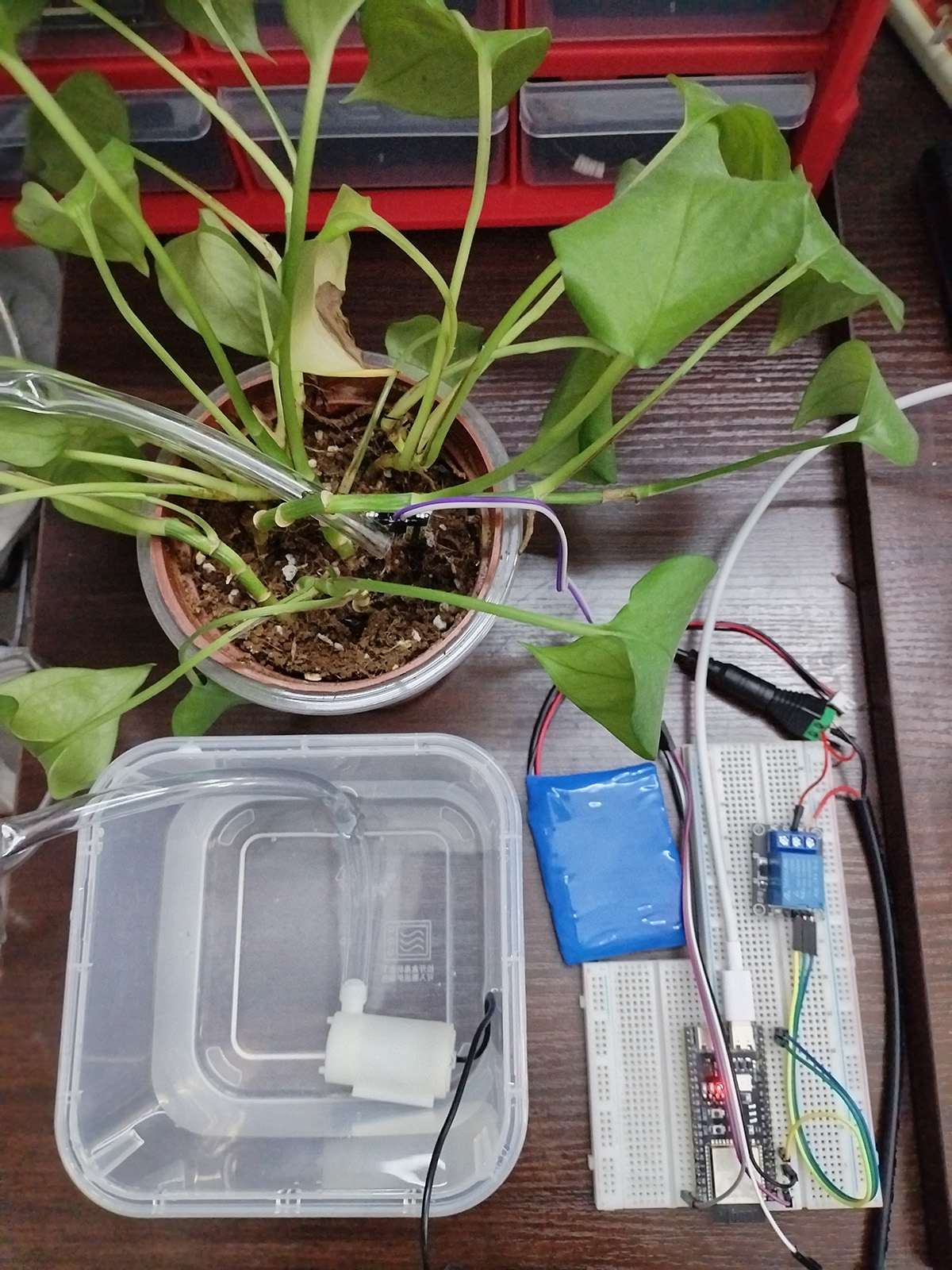 用规则引擎实现业务功能