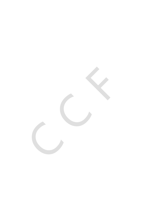 CCF中学生计算机程序设计能力等级评价等级标准