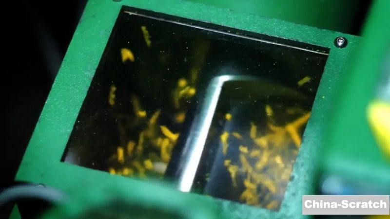 乐高积木到底怎么制造出来的？嘉兴工厂观后感