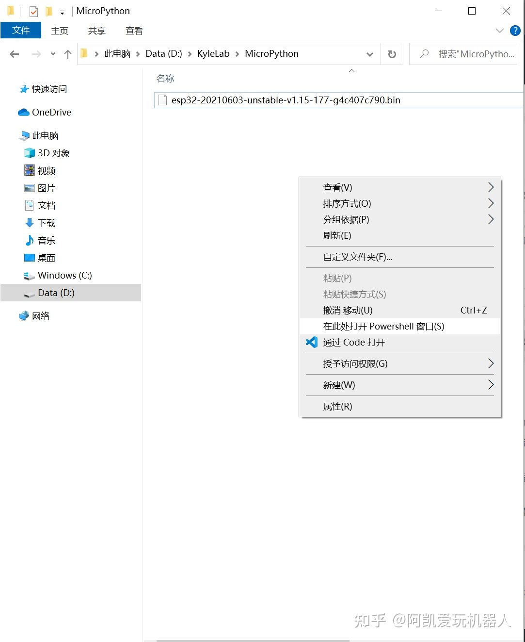 MicroPython-ESP32开发环境配置(Win10+Thonny IDE)