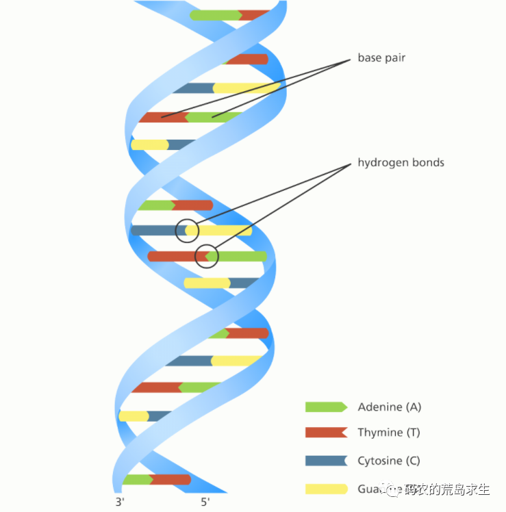 CPU 构造的基本原理