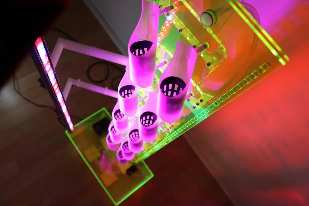 null 鱼菜共生系统,养鱼种菜俩不误,绿色且有生机