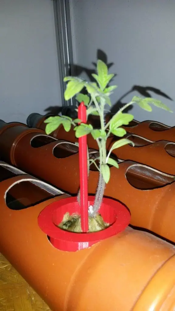 null 鱼菜共生系统,养鱼种菜俩不误,绿色且有生机