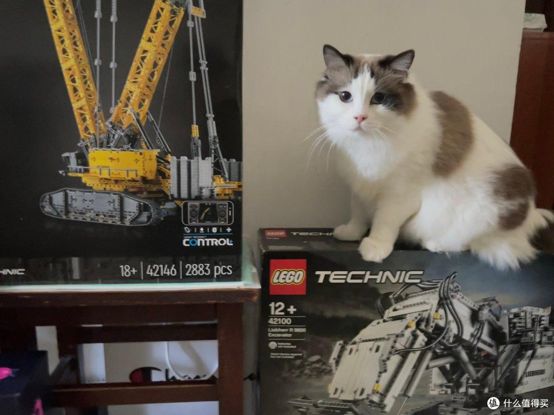第一人称带你沉浸组装乐高42146利勃海尔吊车!