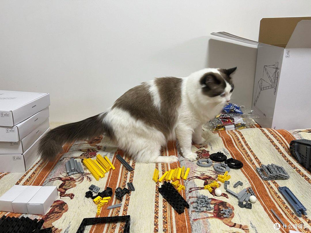 第一人称带你沉浸组装乐高42146利勃海尔吊车!