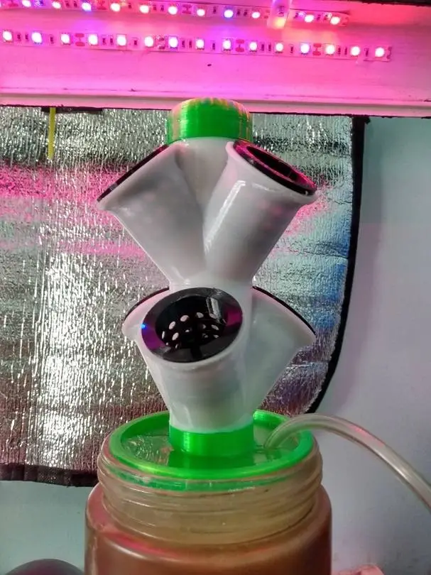 null 鱼菜共生系统,养鱼种菜俩不误,绿色且有生机