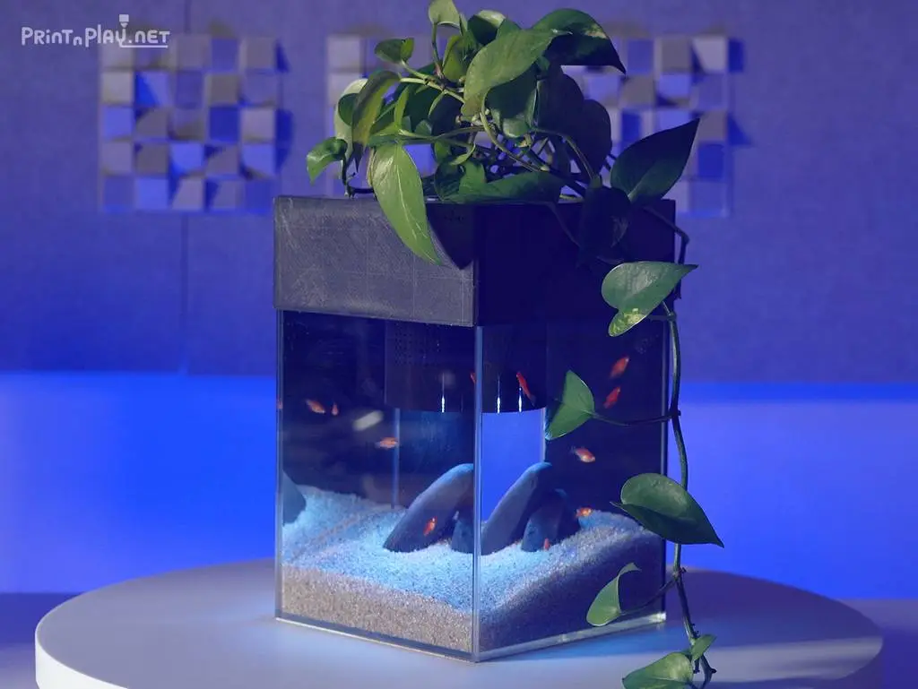 null 鱼菜共生系统,养鱼种菜俩不误,绿色且有生机