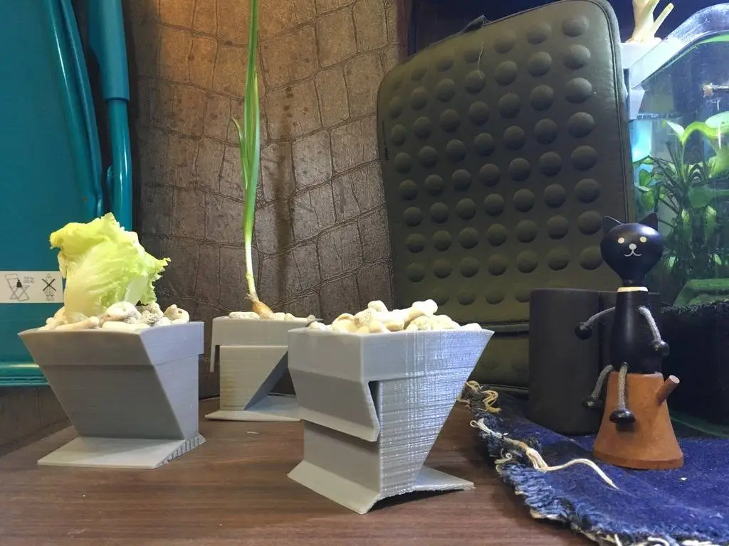 null 鱼菜共生系统,养鱼种菜俩不误,绿色且有生机