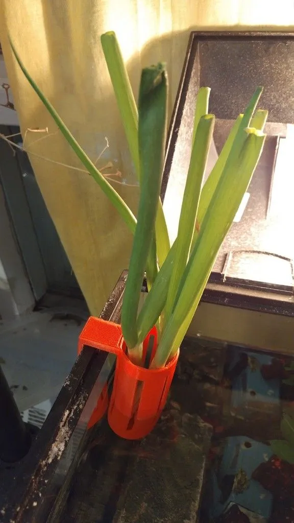 null 鱼菜共生系统,养鱼种菜俩不误,绿色且有生机