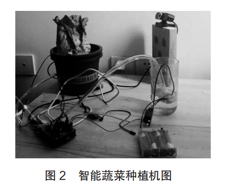 智能蔬菜种植STEM课程的设计与实践研究