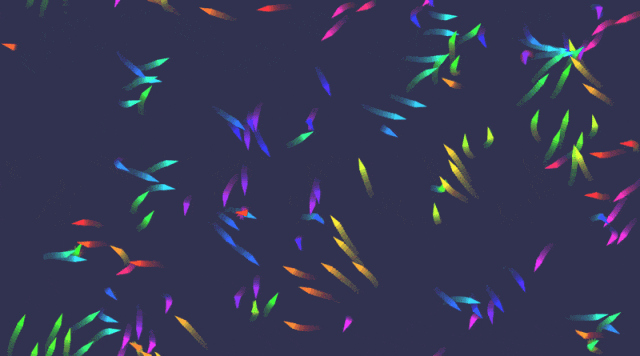 当数学遇上编程，所有的边界都打破了（进阶篇）