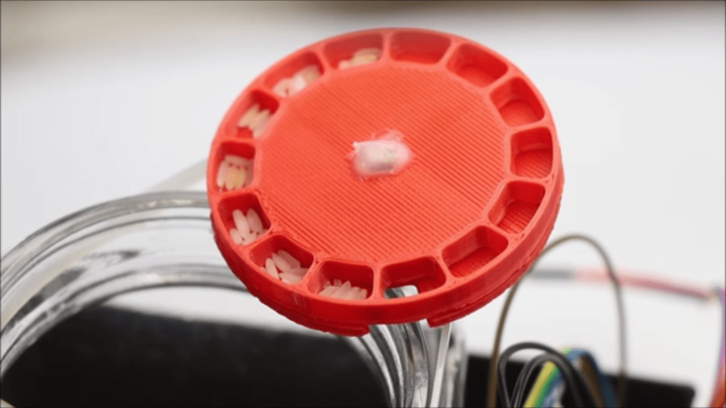 简易自动喂鱼器